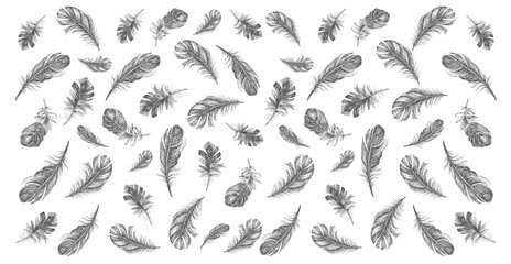 Obraz premium Vector Black and White Feather Pattern. Feather icon set. Hand drawn illustration. Doodle sketch.