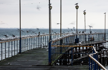 Naklejka premium bridge, sea