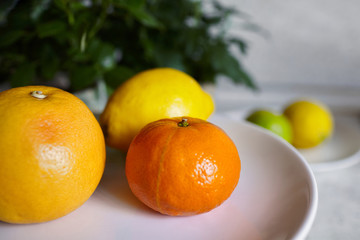 Citrus fruits on a plate. Yellow lemon, grapefruit and tangerine with blurred green leaves on background