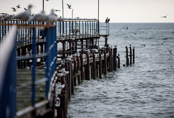 Fototapeta premium bridge, sea
