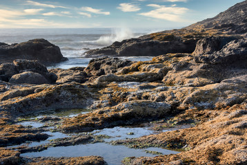 Oregon Coast Wave Splash