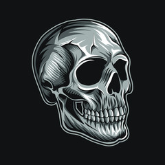 skull head vector illustration isolated on black background