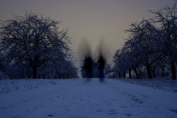 Silhouettes of two persons walking down a road in winter in the evening. The trees and the road are covered in snow.