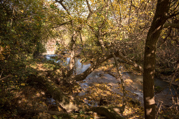 Beautiful sights from the Hotnishki waterfall, near Veliko Tarnovo, Bulgaria