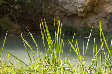 Beautiful sights from the Hotnishki waterfall, near Veliko Tarnovo, Bulgaria