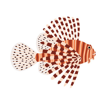 striped lionfish swimming white background clip art preview