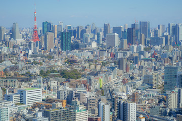 Obraz premium 恵比寿ガーデンプレイス展望台から見える東京の街並み