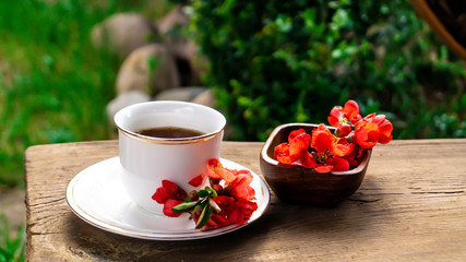 white porcelain cup with tea and red quince flowers on a wooden table in the garden