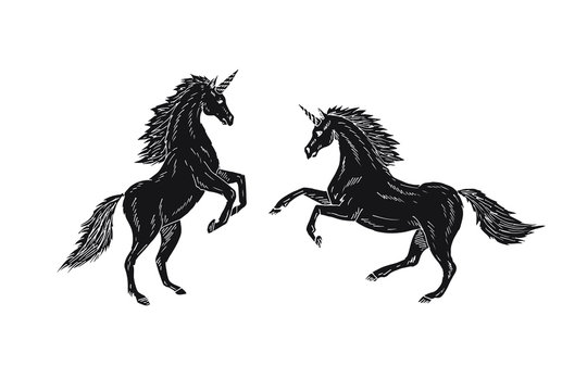 Vector hand drawn doodle sketch two black unicorn isolated on white background