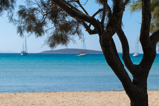 Aliki idyllic beach on Paros island in Greece