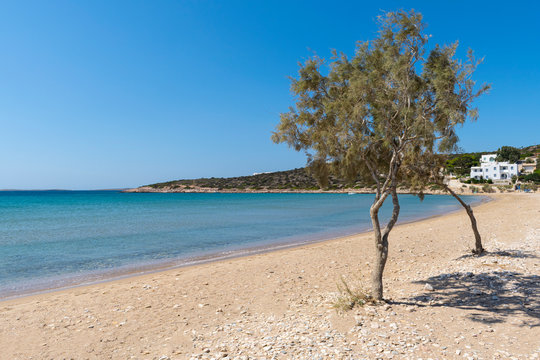 Aliki idyllic beach on Paros island in Greece