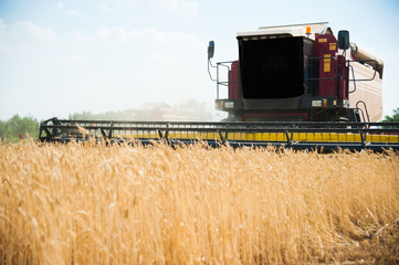 Combine harvesters in a field of wheat