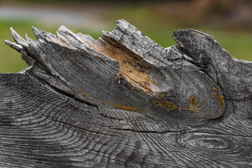 Holzbrett Nahaufnahme