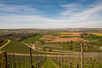 View from the vineyards over fields and town