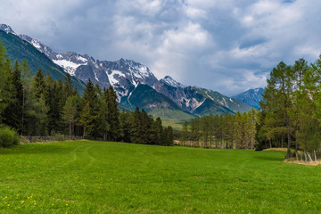 Wiese und Wald im Fr&uuml;hling am Mieminger Plateau