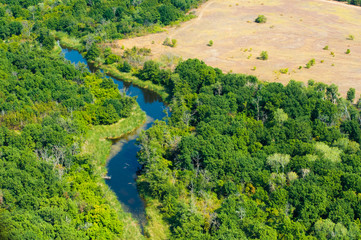 Fototapeta na wymiar Aerial view of forest during