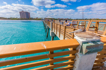 Pelican guarding Juno Beach Pier © Henryk Sadura
