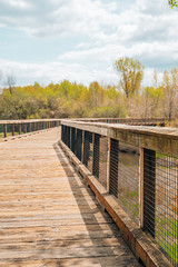 Lovely spring day in Elm Creek Park Reserve in Maple Grove, Minnesota. Wooden pedestrian footbring, portrait view, on the trails