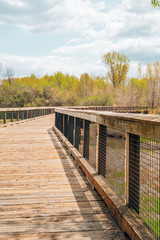 Obraz premium Lovely spring day in Elm Creek Park Reserve in Maple Grove, Minnesota. Wooden pedestrian footbring, portrait view, on the trails