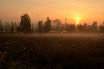 mglisty poranek © Piotr Łaskawski