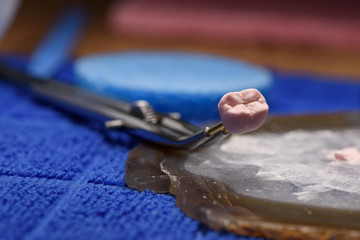 Fototapeta premium Ceramic dental crown on dental tweezers lies on an agate ceramic palette in a modern dental laboratory. Closeup macro shoot.