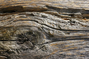 old wood texture