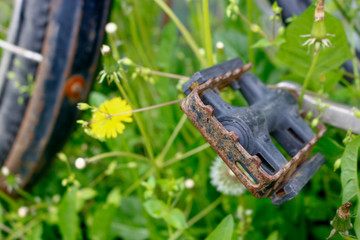old rusty bicycle