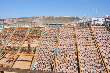 Fototapeta premium Fish drying at the sun on beach of Nazaré