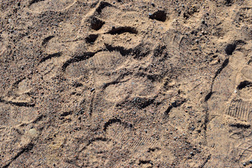 soil texture, footprints in the sand, background
