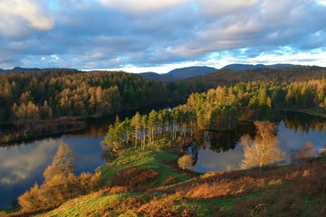 Fototapeta na wymiar autumn at Tarn Hows in Lake District
