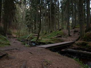 path and wooden bridge over stream in the woods