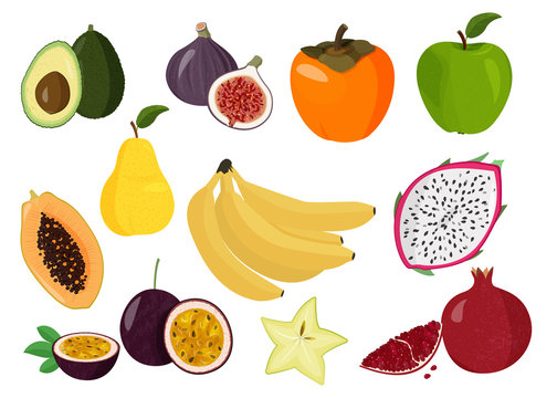 Fresh fruits vector collection. Set of sweet fruits. Persimmon, papaya, dragon fruit, pomegranate, passion fruit, banana, star fruit, pear and apple.