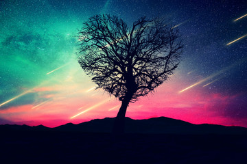Tree in the shape of heart on a green pink natural backdrop