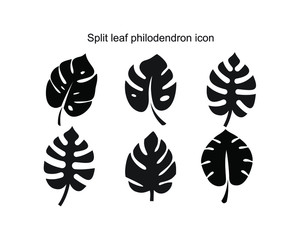 Split leaf philodendron icon