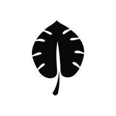 Split leaf philodendron icon