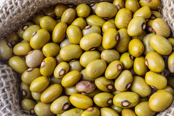 Close up of green ball bean seeds