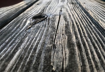 Obraz premium old wood texture