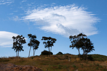 Obraz premium Four tree hill