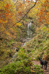 paisaje cascada colores otoño