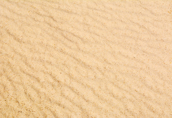 Fototapeta na wymiar Sand texture with waves. Yellow sand. Background from fine sand.