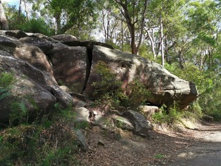 Fototapeta na wymiar Whale Rock, Boundary Road Firetrail, Pennant Hills, NSW, Australia