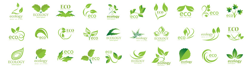 Fototapeta na wymiar Collection Of Eco And Organic Logo Set - Isolated On White Background - Vector. Eco And Organic Logo Useful For Leaf Icon, Ecology Logo, Eco Symbol And Template Design. Ecology Tree Icons