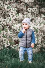 A boy walks in the garden with flowering trees.