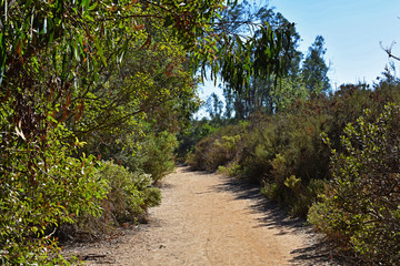 A Walkway to Where