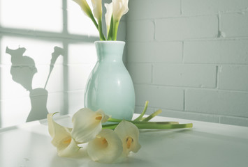 Close up of white calla lilies on table with vase in background and shadows (green filter effect and selective focus)