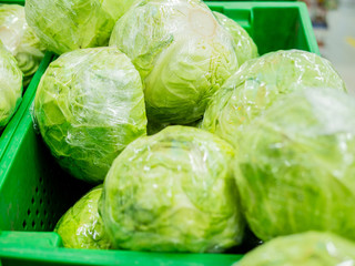 Round cabbages on the counter of the supermarket.