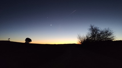 silhouette of a man sitting on a tree