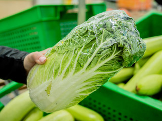 Chinese Cabbage in the hands of the woman buyer in the supermarket. Nappa cabbage,