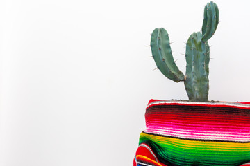 Cactus and colorful mexican poncho isolated on white background