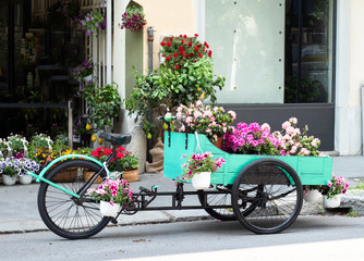 Fototapeta na wymiar door-to-door flower sales with a pedal cart